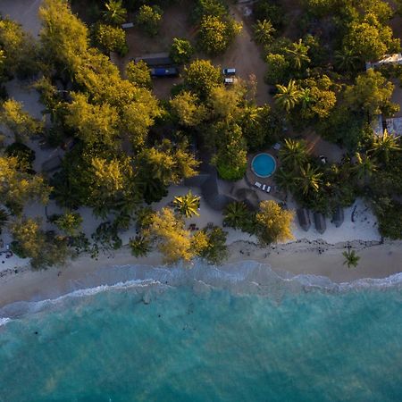 Mikadi Beach Camp & Backpackers Vandrerhjem Dar-es-Salaam Eksteriør bilde