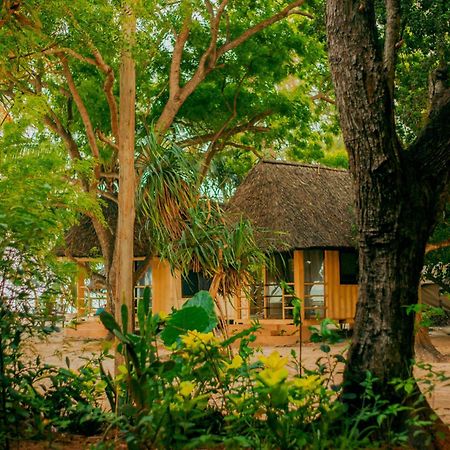 Mikadi Beach Camp & Backpackers Vandrerhjem Dar-es-Salaam Eksteriør bilde