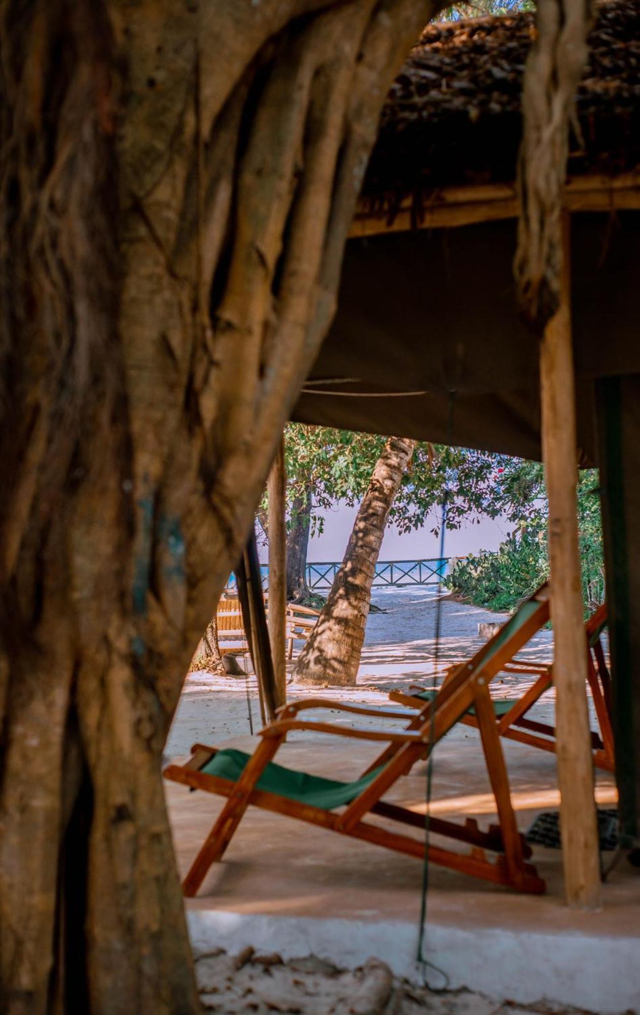 Mikadi Beach Camp & Backpackers Vandrerhjem Dar-es-Salaam Eksteriør bilde
