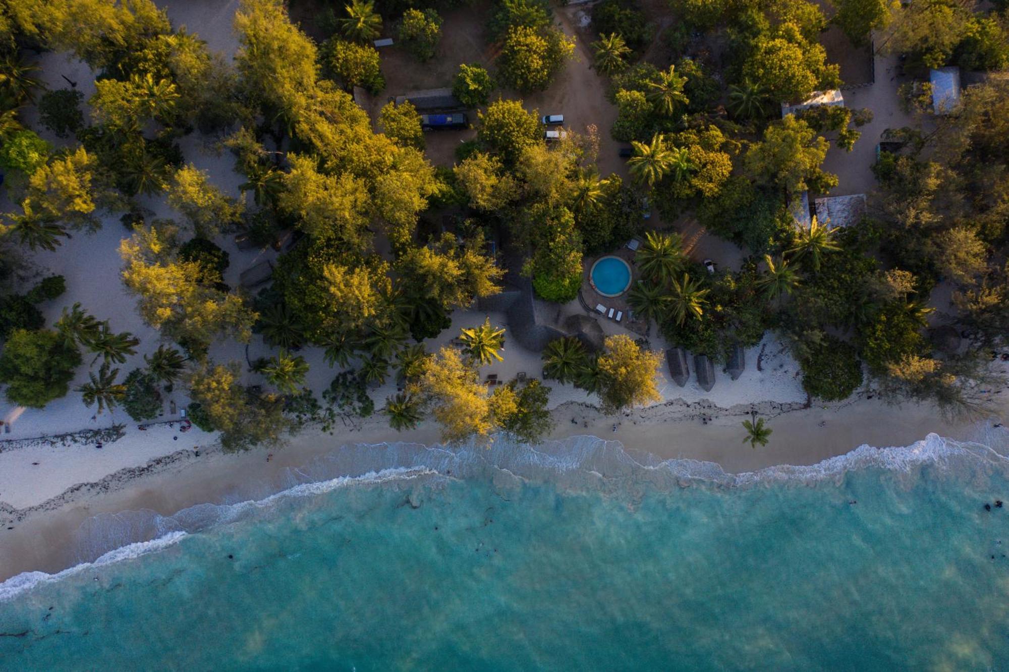 Mikadi Beach Camp & Backpackers Vandrerhjem Dar-es-Salaam Eksteriør bilde