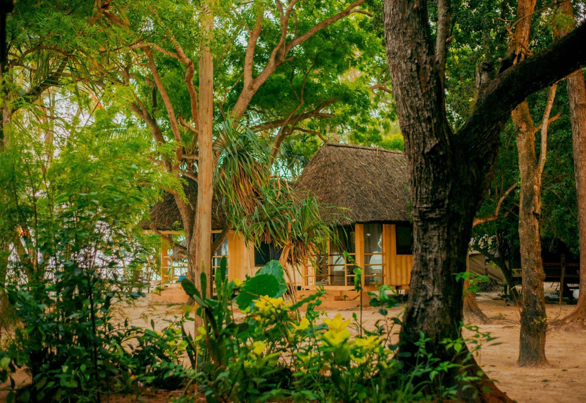 Mikadi Beach Camp & Backpackers Vandrerhjem Dar-es-Salaam Eksteriør bilde