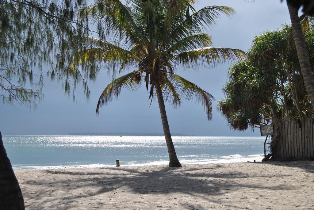 Mikadi Beach Camp & Backpackers Vandrerhjem Dar-es-Salaam Eksteriør bilde